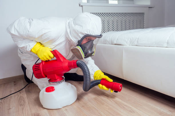 Best Bed Bug Extermination  in College Park, GA